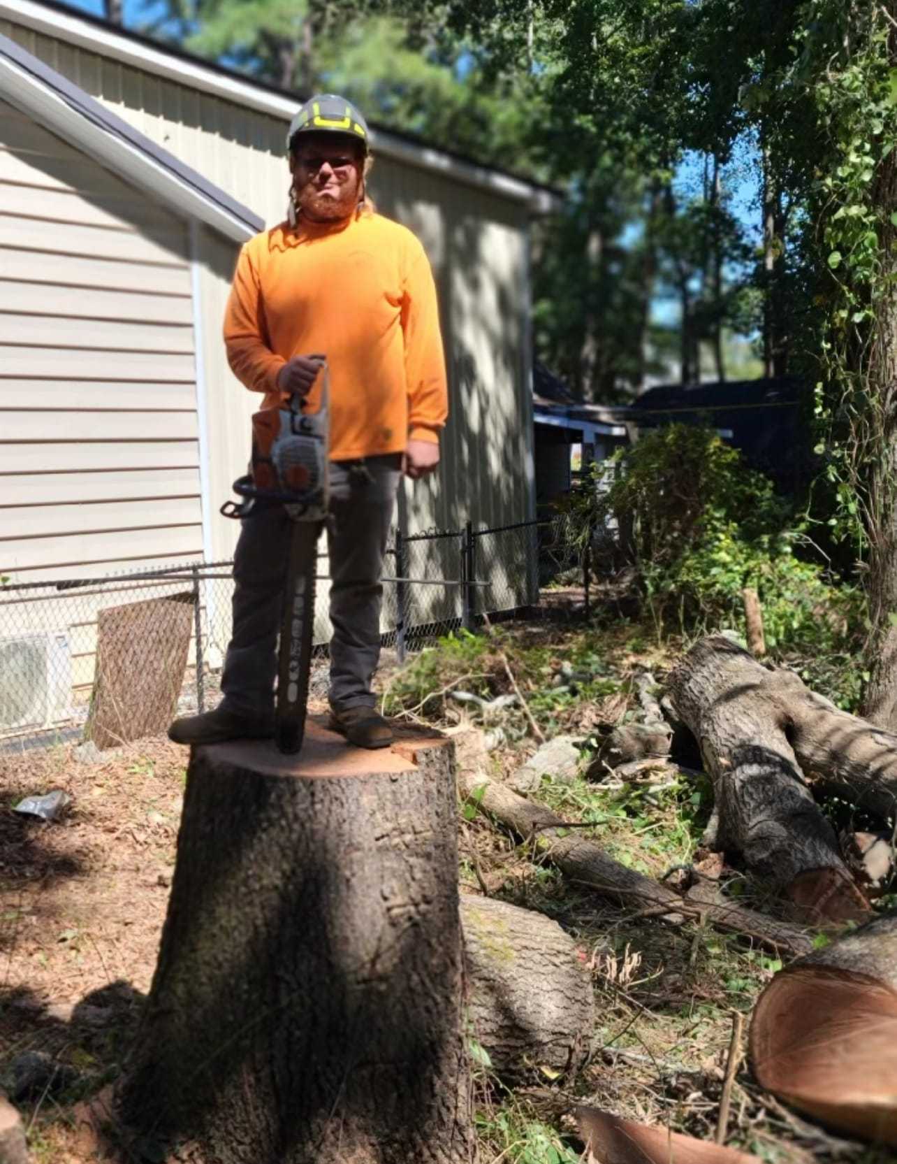 Crew member on a cut stump during stump removal Crew member on a cut stump during stump removal