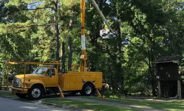 Fonvilletreeservice crew member operating yellow bucket truck to trim tall trees in residential neighborhood in NC.