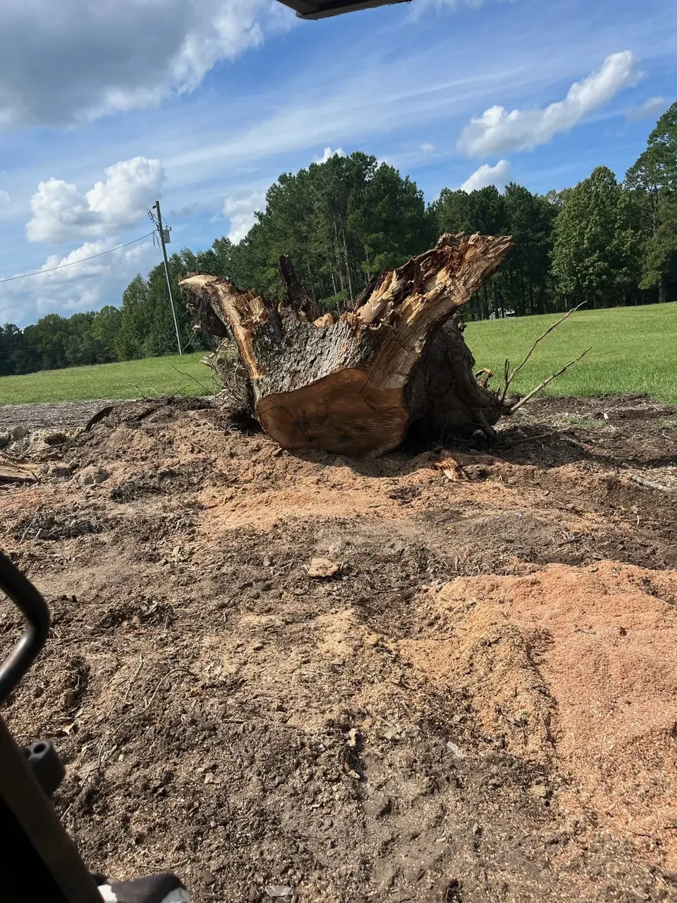 Root ball removed during land clearing