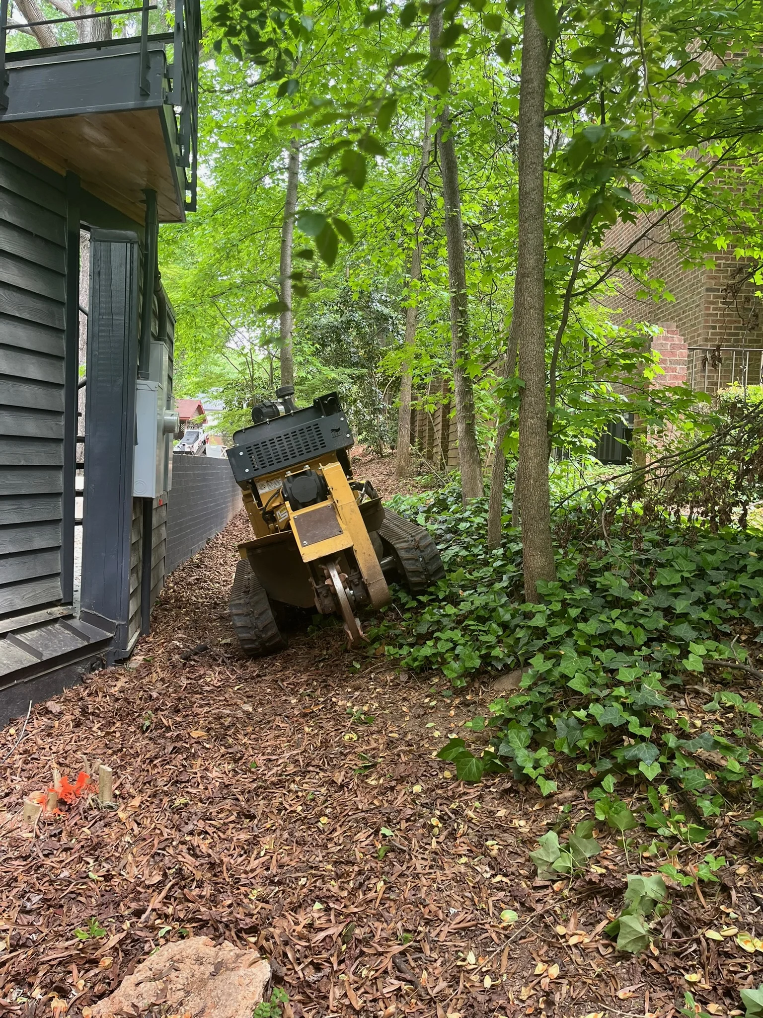 Fonvilletreeservice tracked stump grinder machine positioned near tree stumps in wooded residential backyard area in NC