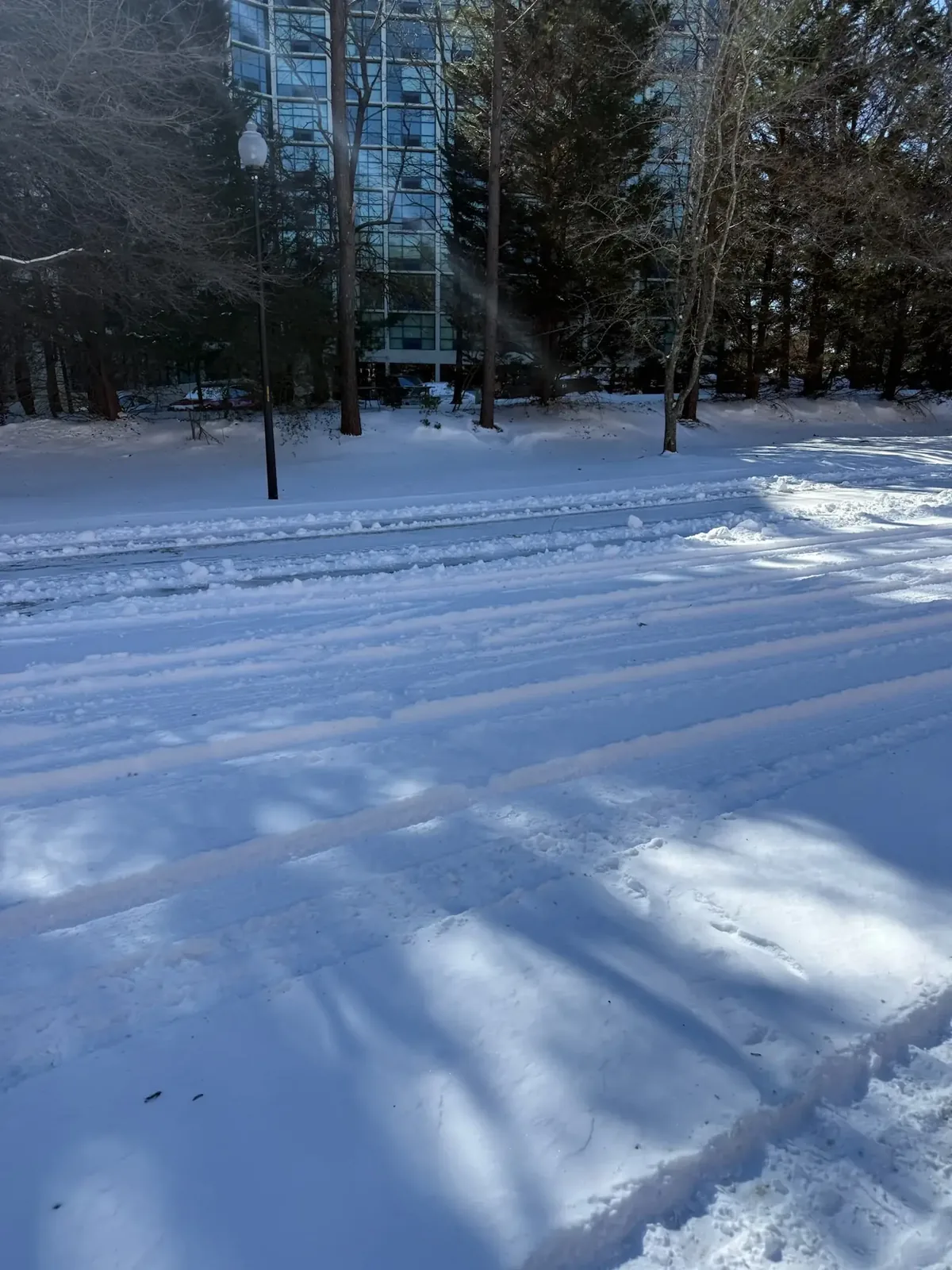 Skid steer clearing snow from a parking lot