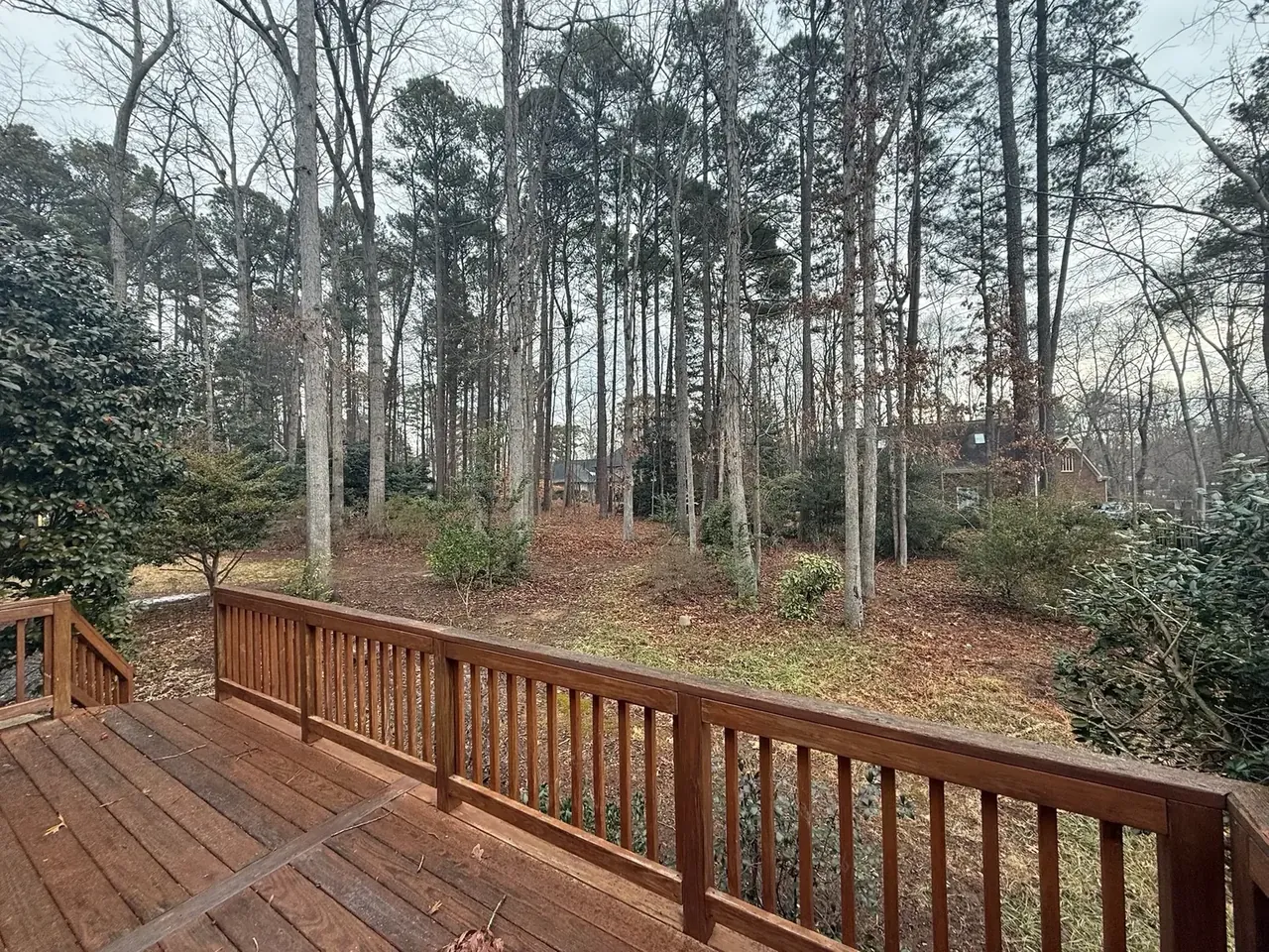 Backyard lot cleared down to a workable surface