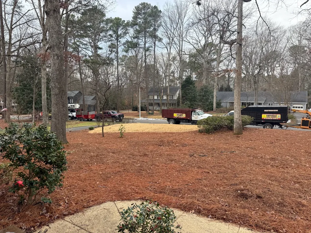 Front yard cleared of brush and small trees