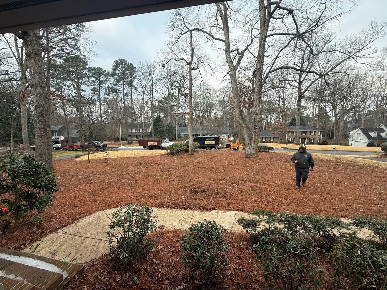 Fresh mulch and cleared ground after lot clearing