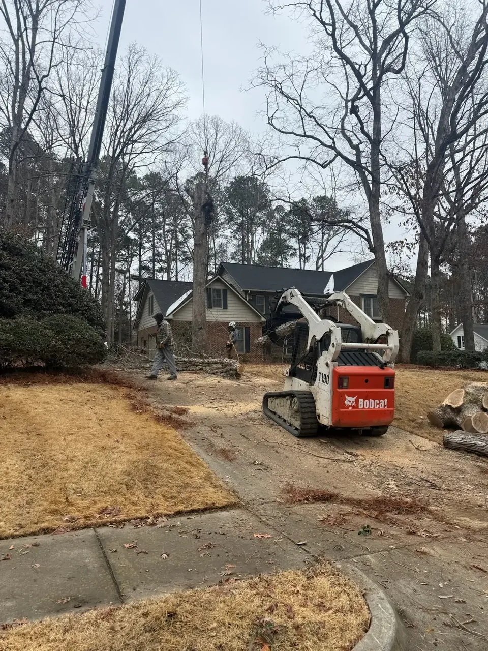 Skid steer moving logs across a lawn during cleanup