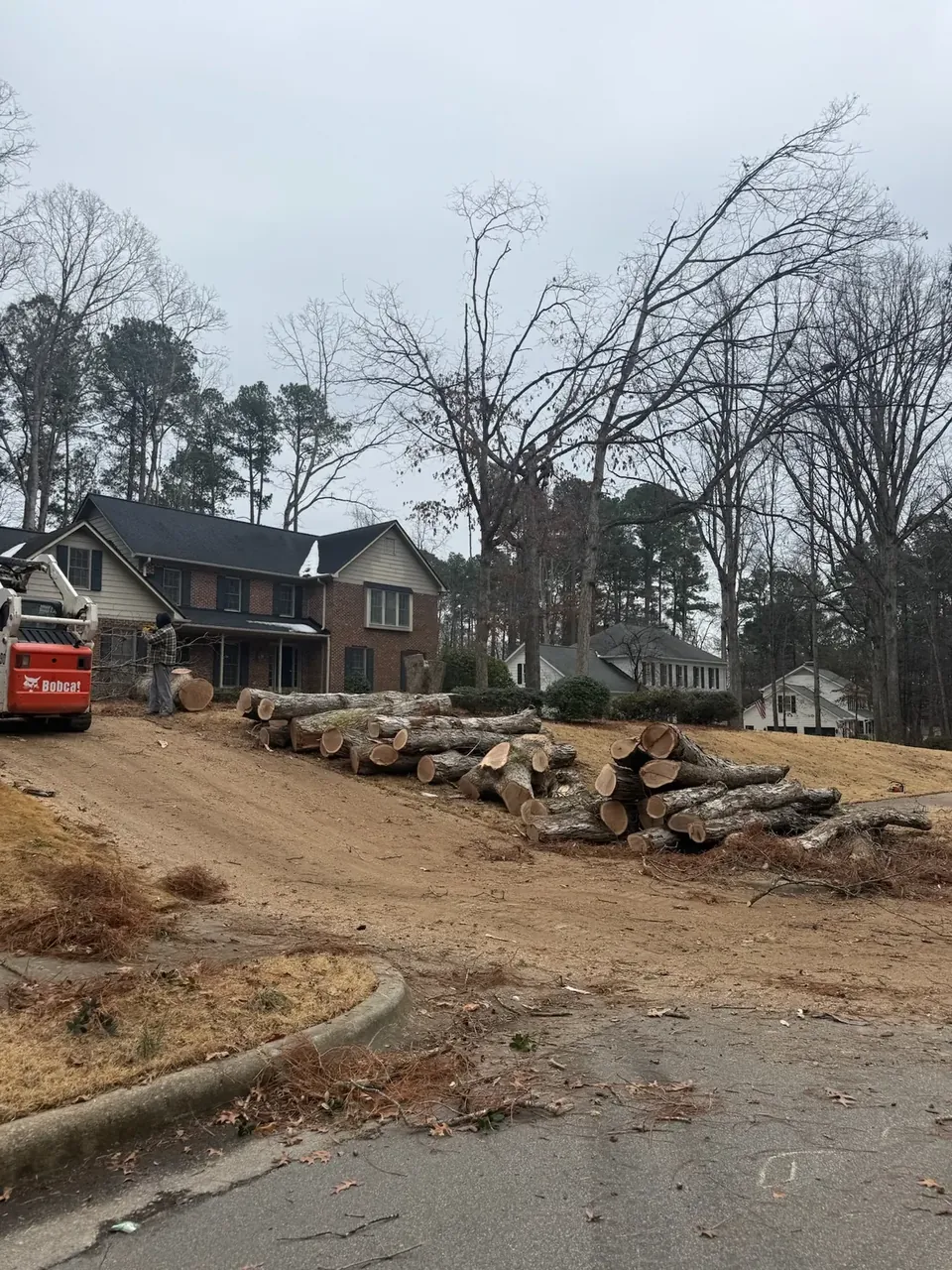 Logs staged at the curb for hauling
