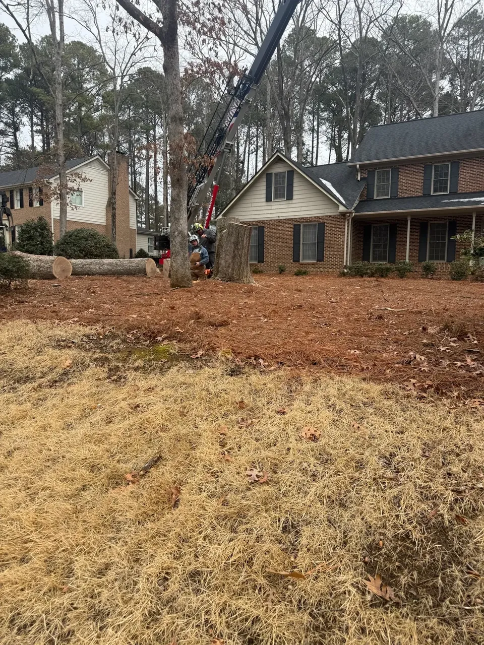 Crane set up at a residential removal