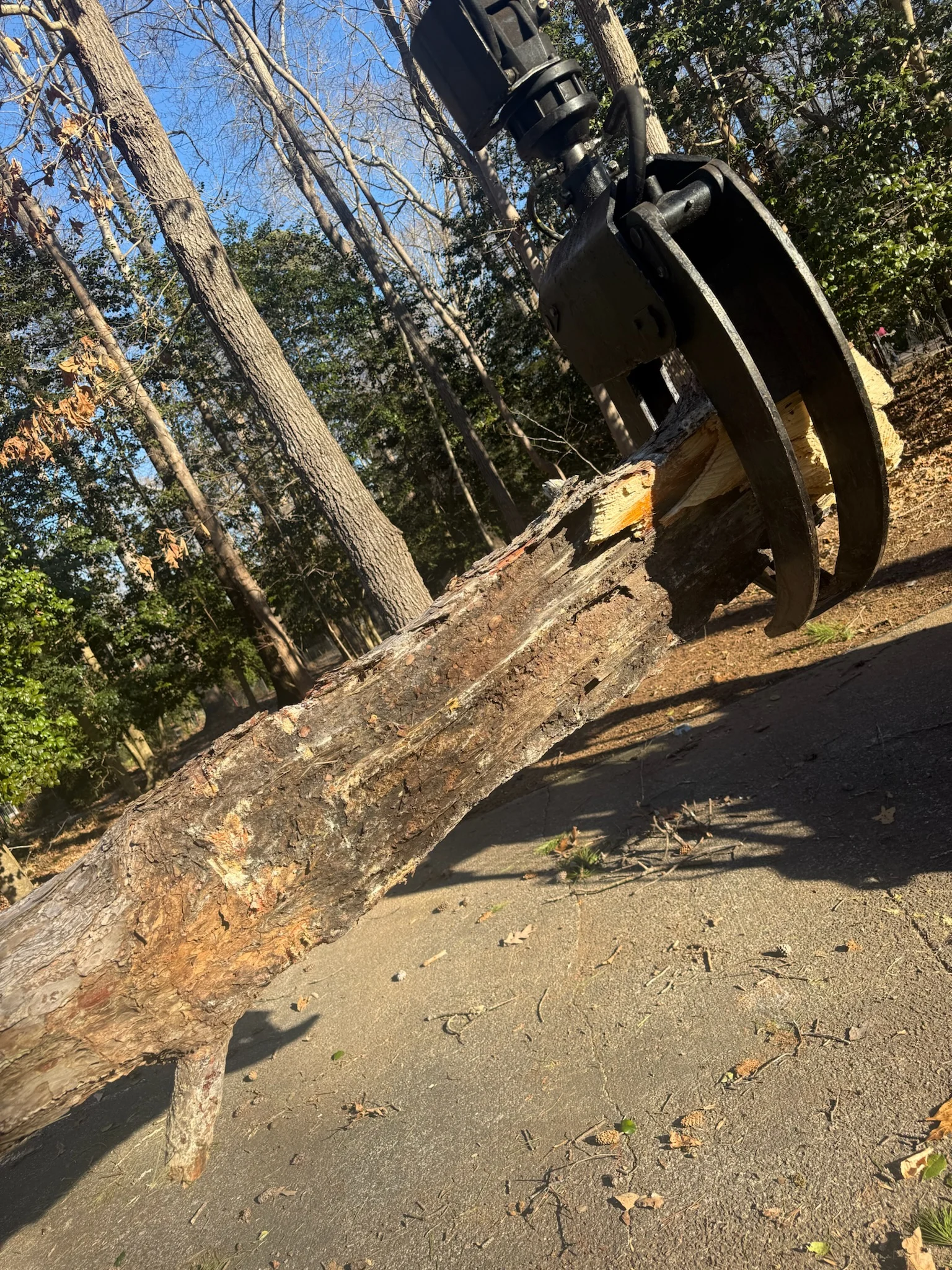 Fonvilletreeservice hydraulic grapple attachment gripping and lifting large cut tree trunk from driveway in wooded NC property.