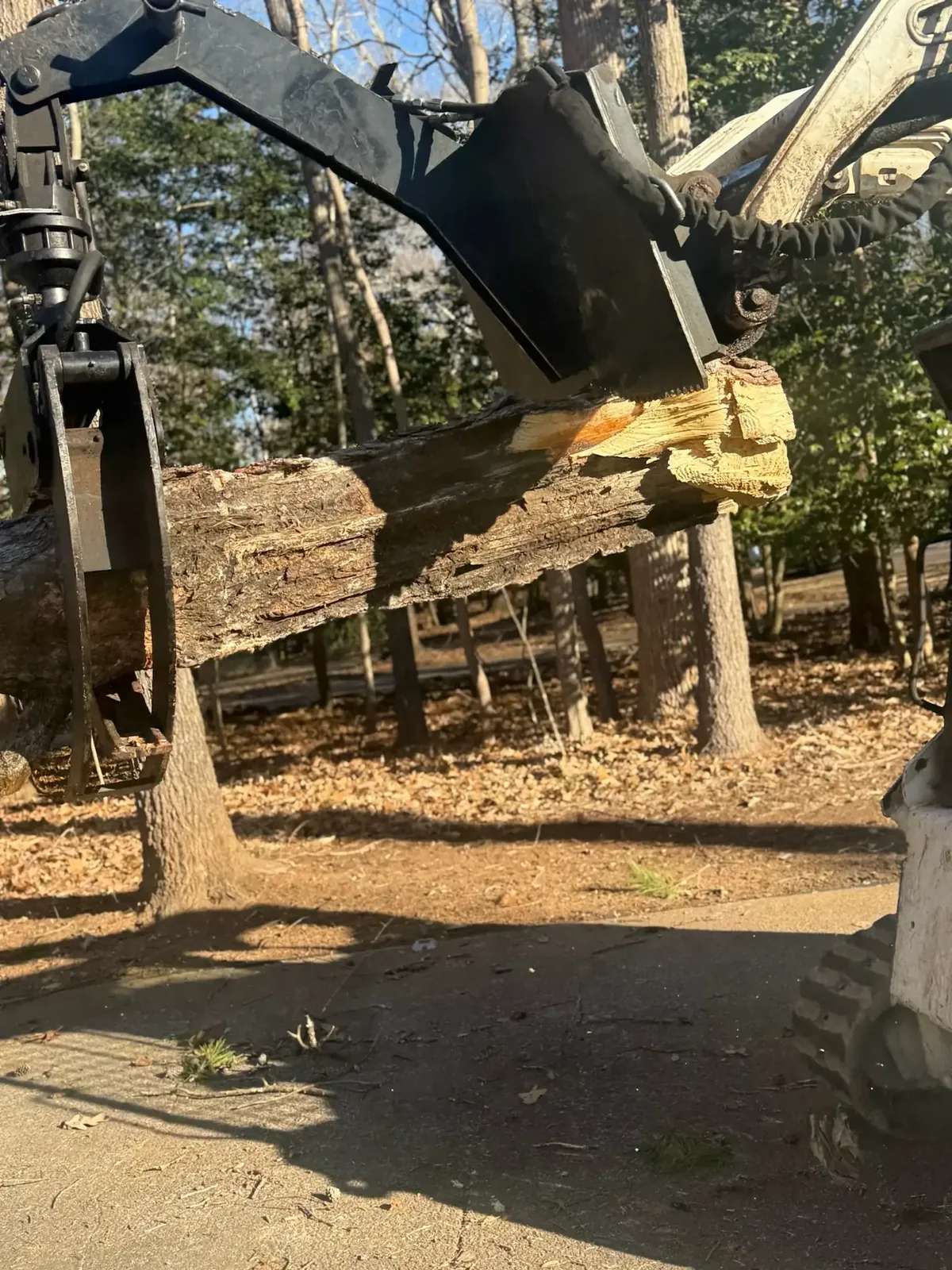 Grapple loader lifting tree debris